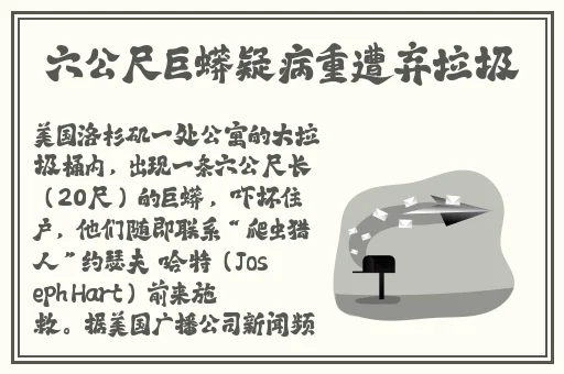 孟广美吻戏